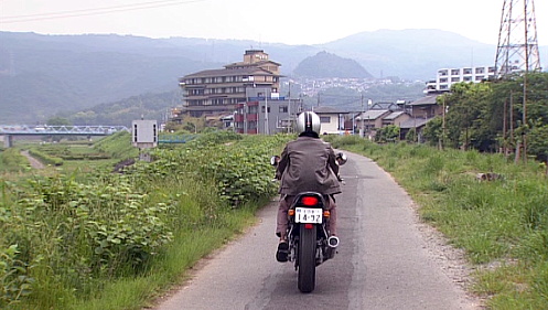 DVD�L���v�`���摜