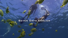 �^�C�����C���ؑ։��