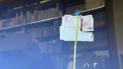 �V�[����ʉt�����B�e�����摜