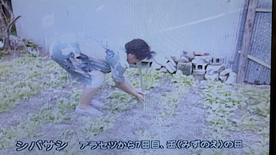 �V�[����ʉt�����B�e�����摜