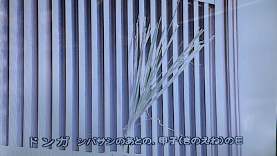 �V�[����ʉt�����B�e�����摜