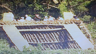 �V�[����ʉt�����B�e�����摜