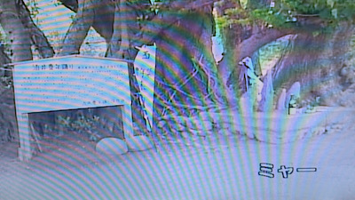 �V�[����ʉt�����B�e�����摜