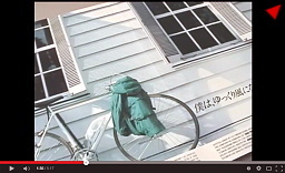 �r�f�I�̃����V�[��