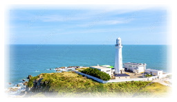 �C���[�W�ʐ^